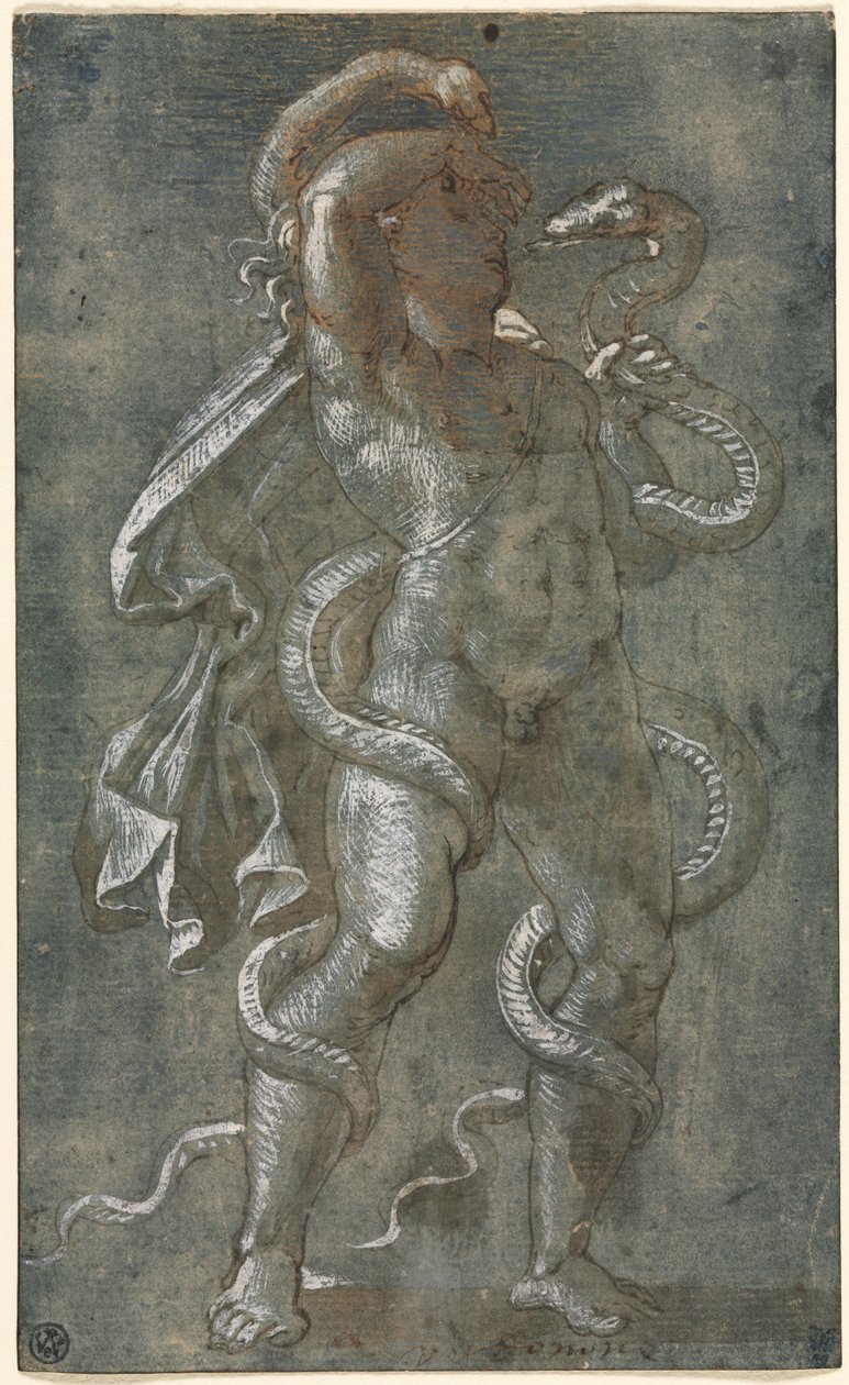 Człowiek spleciony przez dwa węże, c. 1527. autorstwa Giovanni Antonio da Pordenone