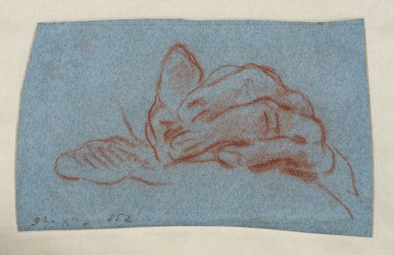 Studium lewej dłoni, ok. 1750-1754 (czerwona kreda na niebieskim papierze) autorstwa Giovanni Battista (attr. to) Tiepolo