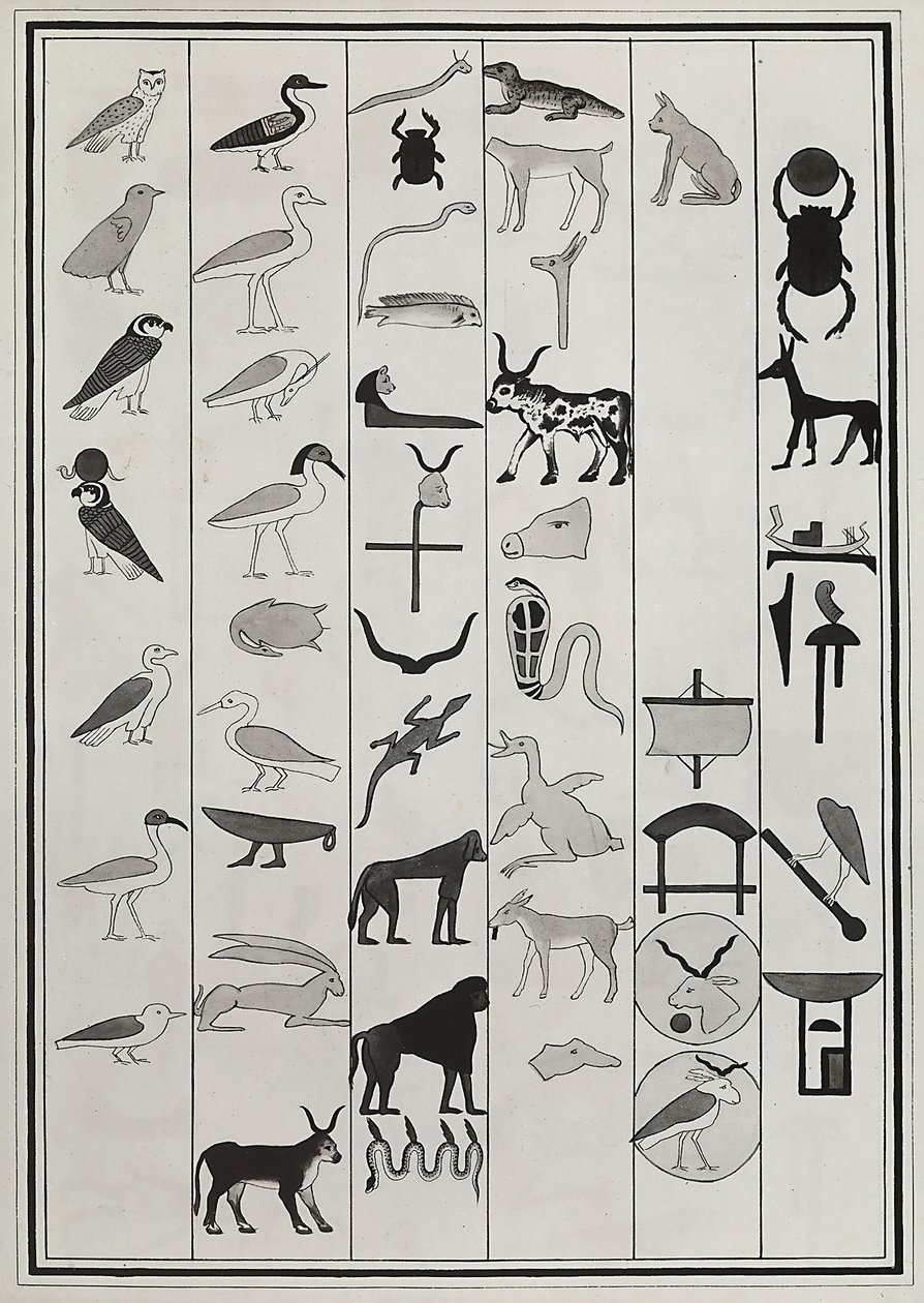 Rysunki dekoracji z wnętrza grobowca faraona Psametyka I, reprodukowane w 1817 roku przez Giovanniego Battistę Belzoniego, znajdującego się w British Museum w Londynie autorstwa Giovanni Battista Belzoni