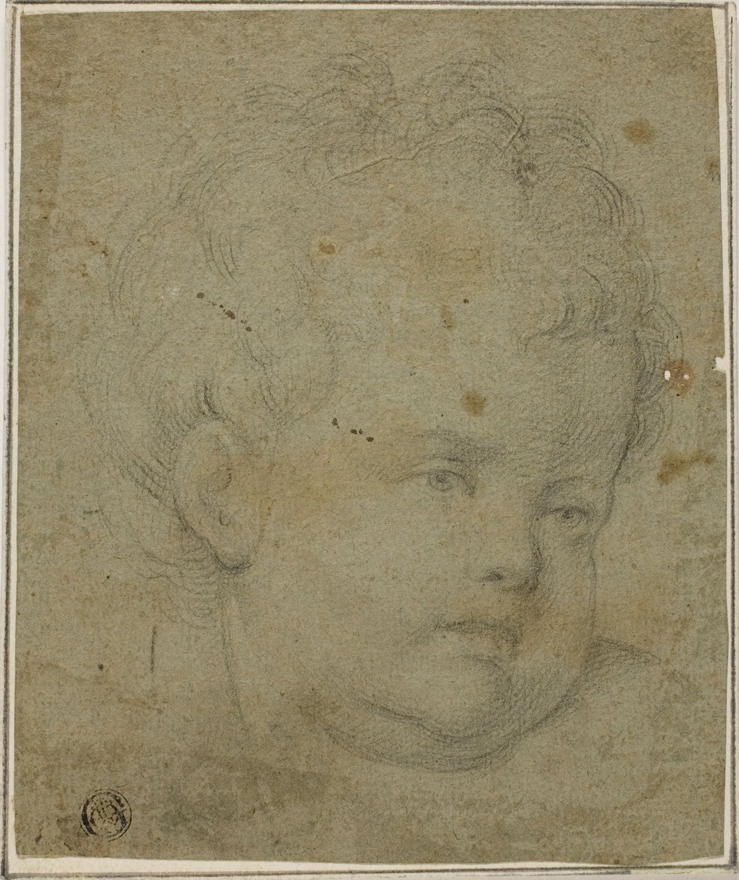 Głowa dziecka autorstwa Giovanni Battista Caracciolo