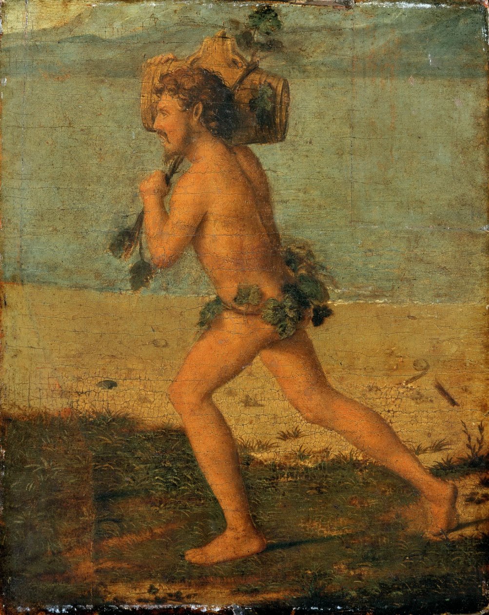Bachantka autorstwa Giovanni Battista Cima da Conegliano