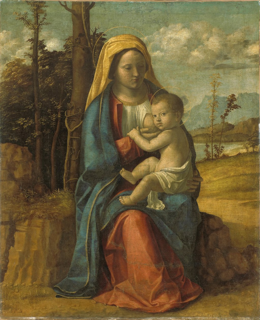 Madonna z Dzieciątkiem autorstwa Giovanni Battista Cima da Conegliano