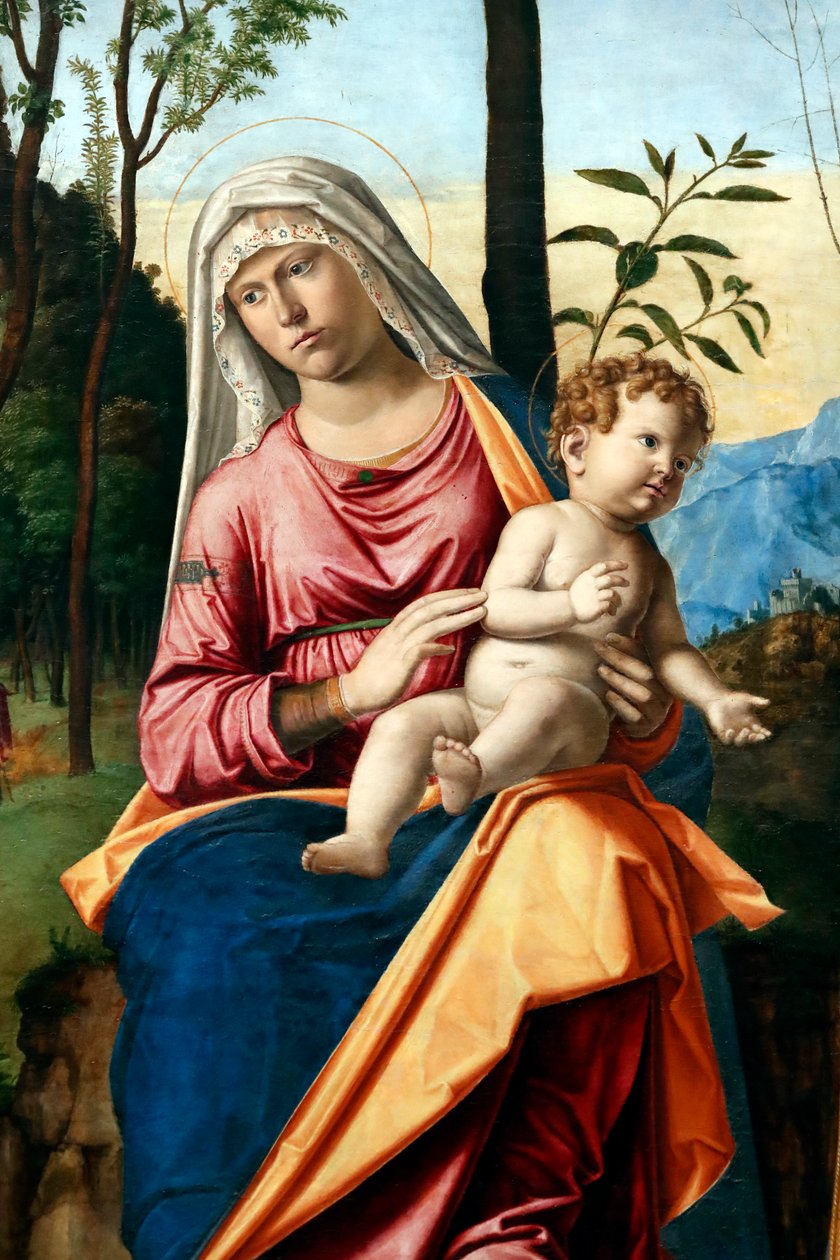 Dziewica i Dzieciątko ze świętymi Hieronimem i Ludwikiem z Tuluzy autorstwa Giovanni Battista Cima da Conegliano