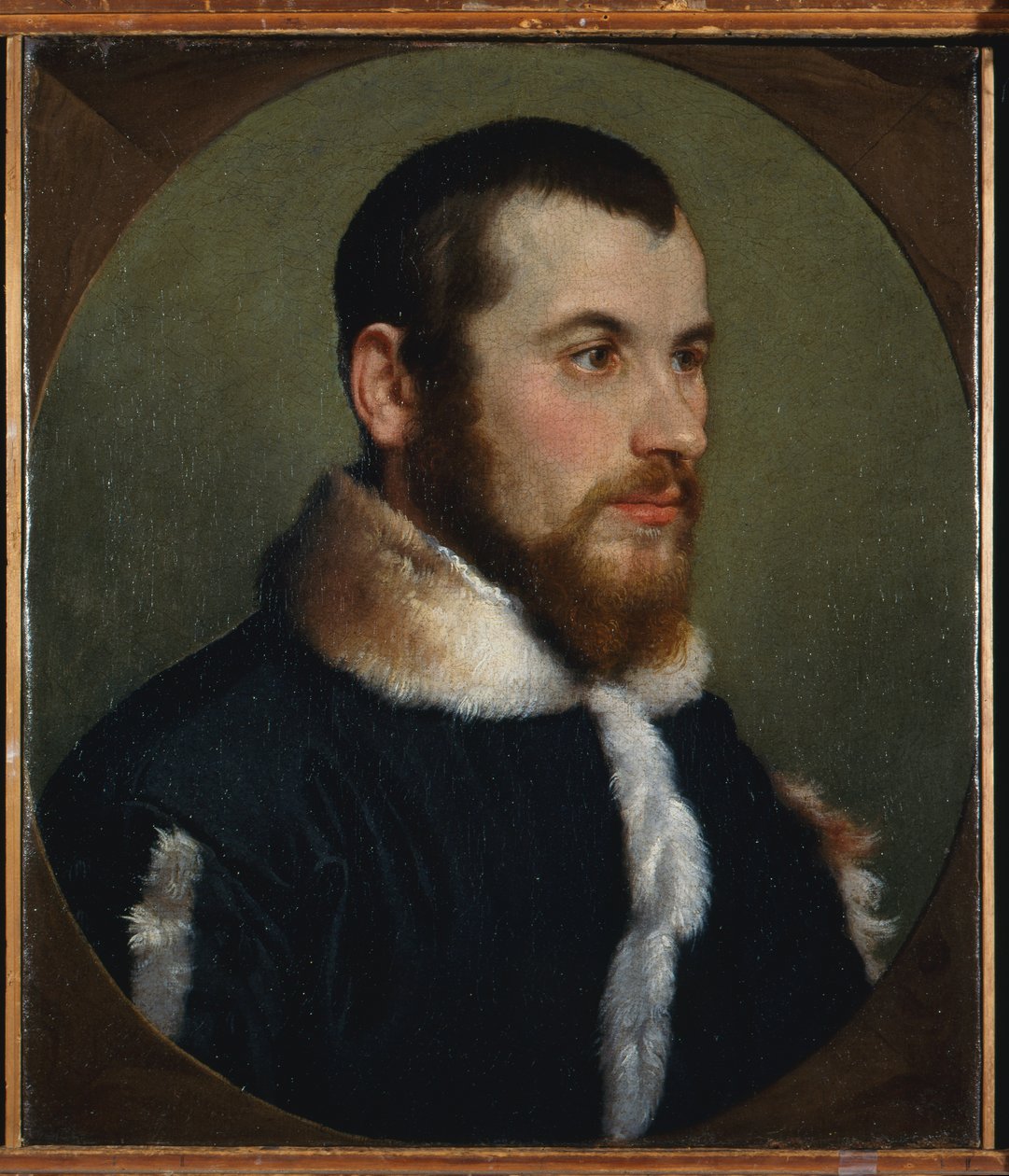 Portret młodego mężczyzny, ok. 1560 (olej na płótnie) autorstwa Giovanni Battista Moroni