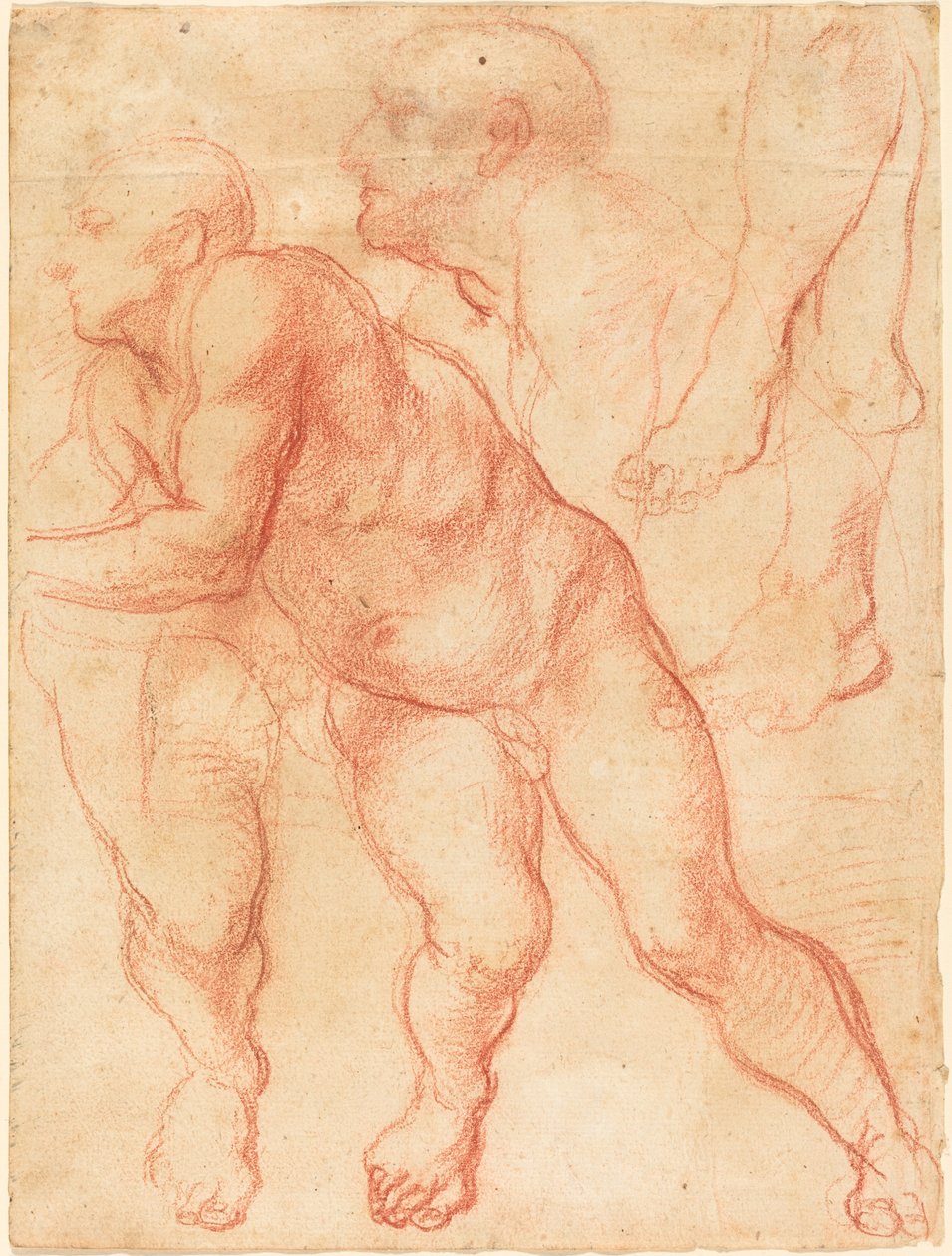 Studia aktu męskiego autorstwa Giovanni Battista Naldini