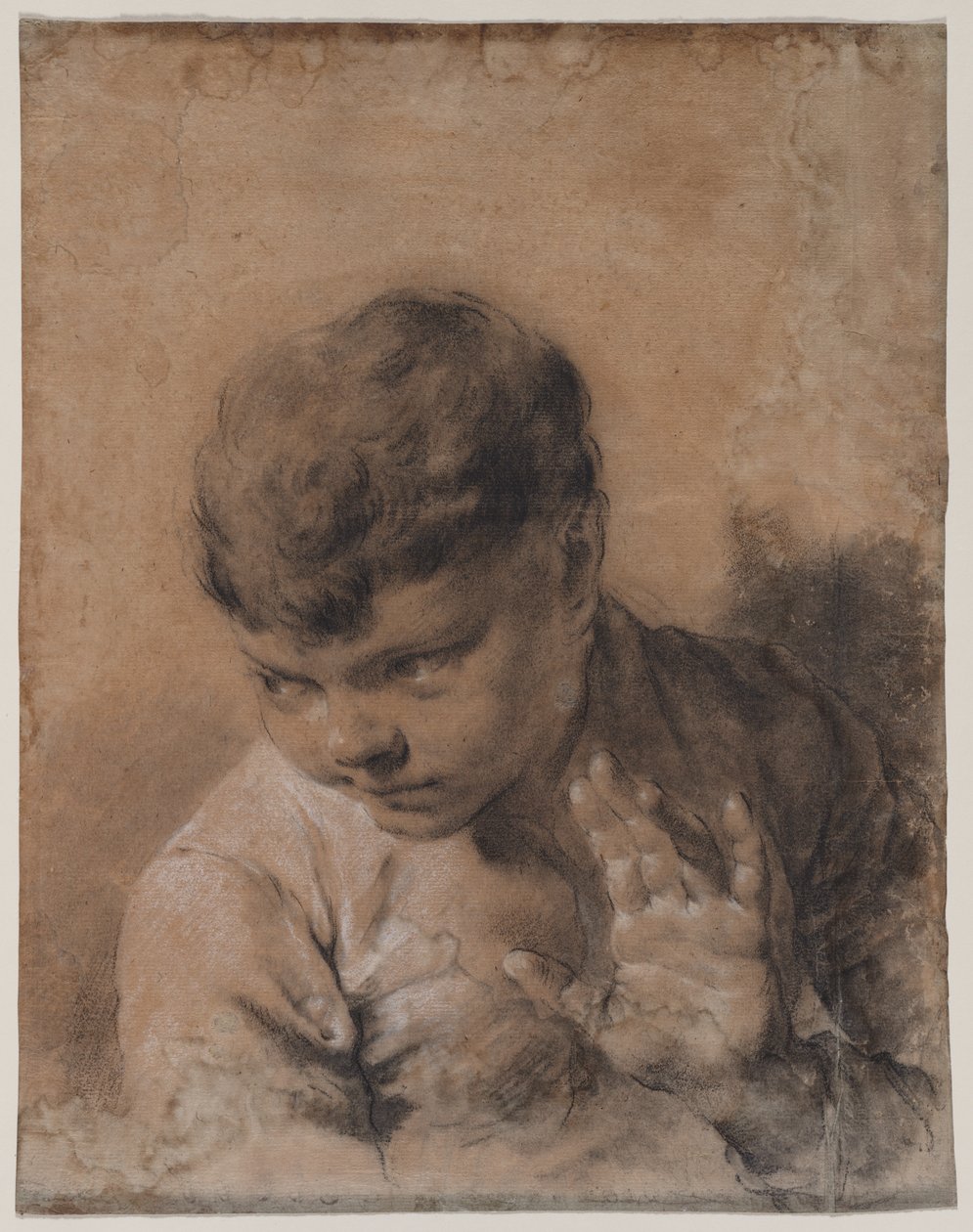 Portret syna artysty Giacomo autorstwa Giovanni Battista Piazzetta