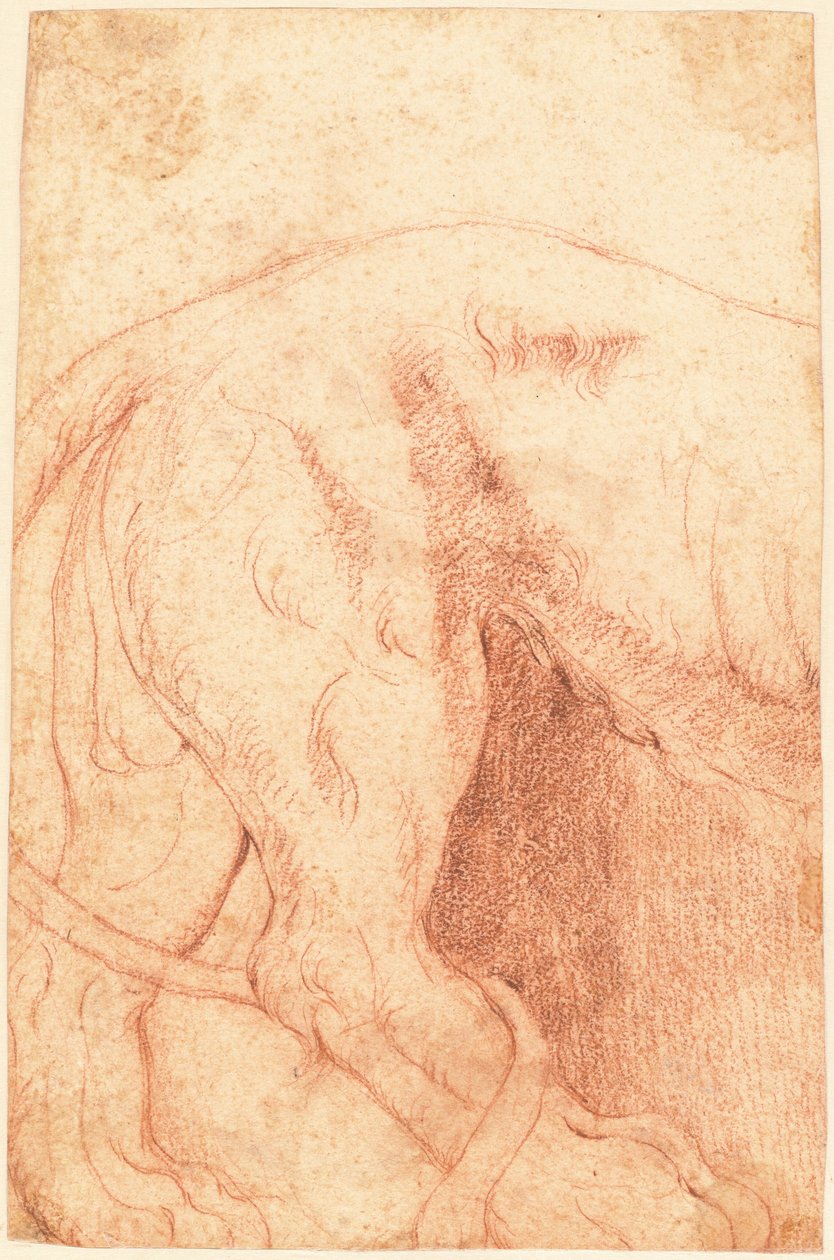 Fragment płaskorzeźby lwa (verso) autorstwa Giovanni Battista Piranesi
