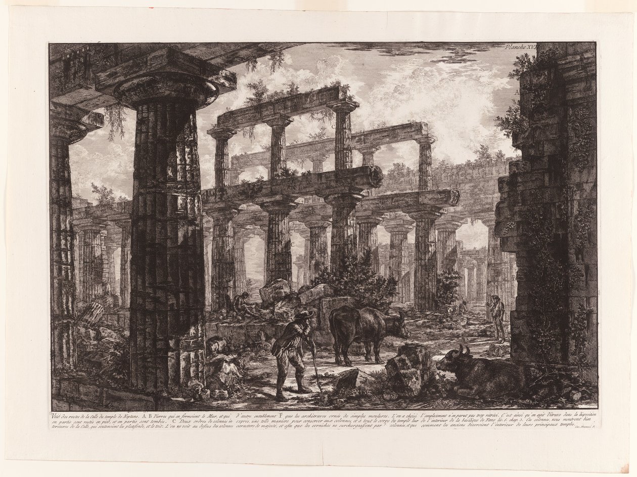 Widok na pozostałości Cella świątyni Neptuna z różnych widoków Paestum autorstwa Giovanni Battista Piranesi