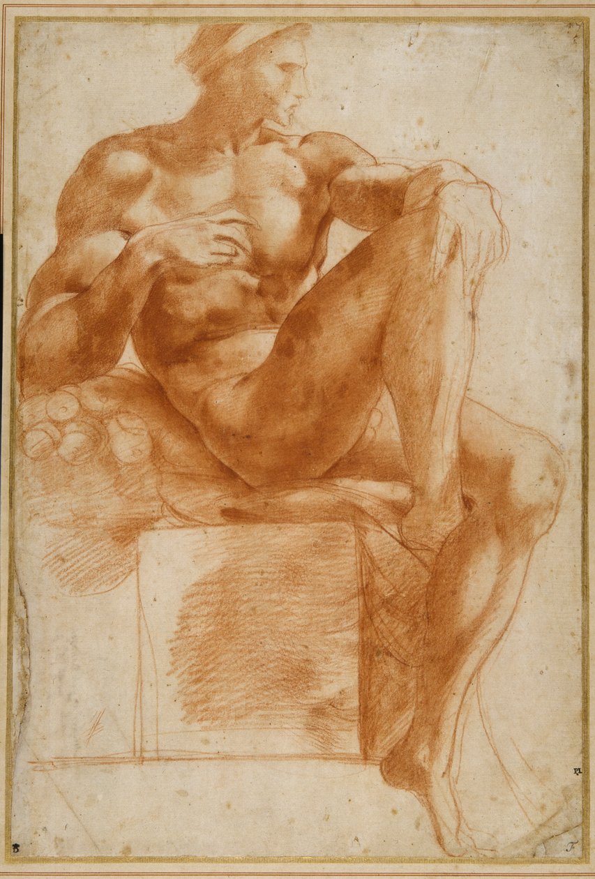 Ignudo na Krypcie Sykstyńskiej (czerwona kreda na kremowym papierze) autorstwa Giovanni Battista Rosso Fiorentino