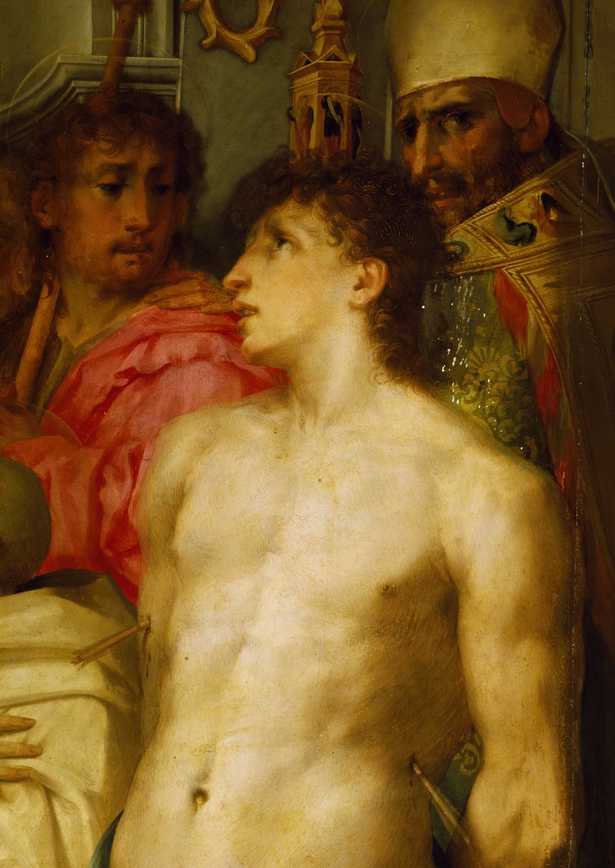 Madonna z Dzieciątkiem i świętymi, detal autorstwa Giovanni Battista Rosso Fiorentino
