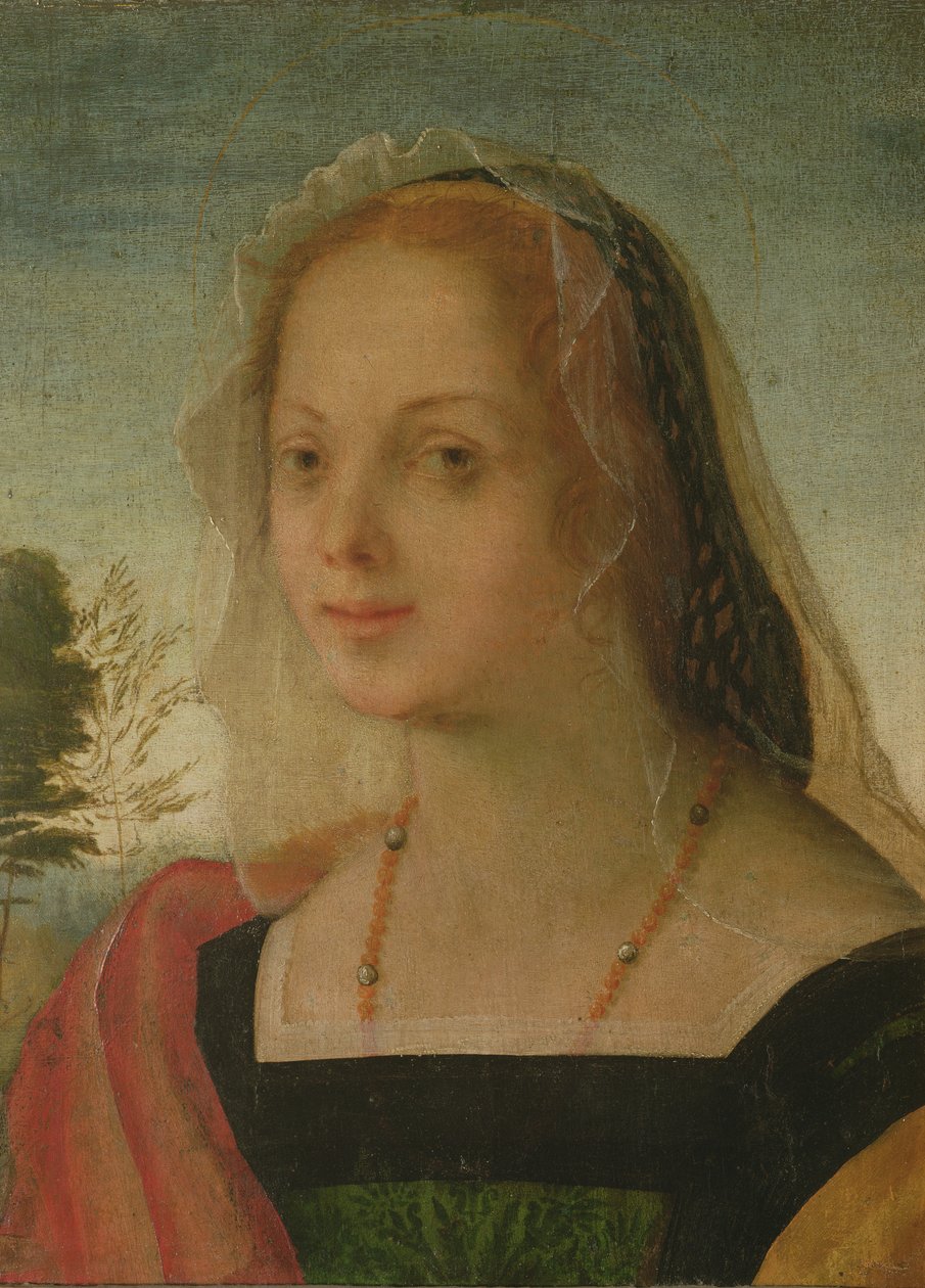 Portret młodej dziewczyny (tempera na panelu) autorstwa Giovanni Battista Rosso Fiorentino