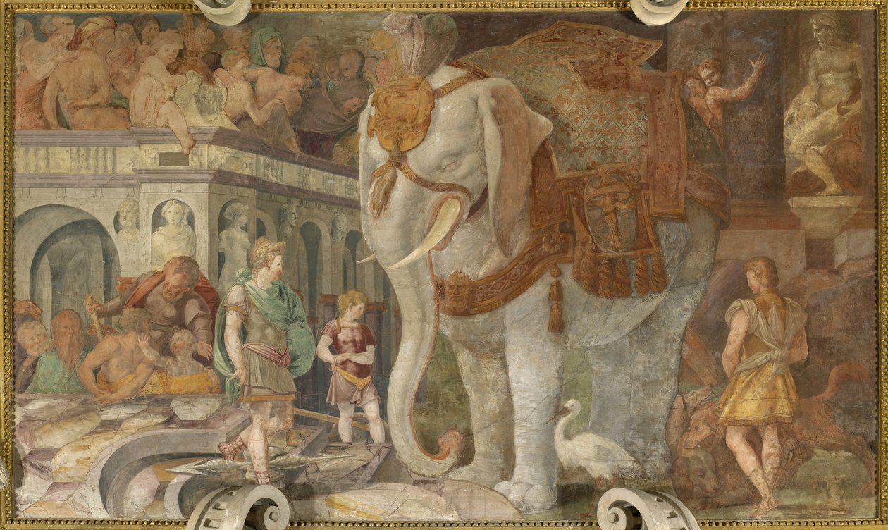 Królewski słoń autorstwa Giovanni Battista Rosso Fiorentino