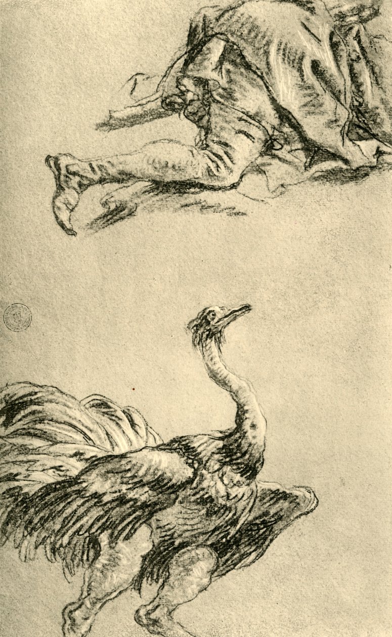 Biegnący struś, 1752-1753, 1928 autorstwa Giovanni Battista Tiepolo
