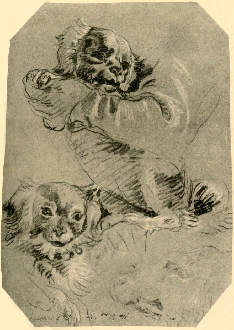 Psy Bolońskie, 1751-1752, 1928 autorstwa Giovanni Battista Tiepolo