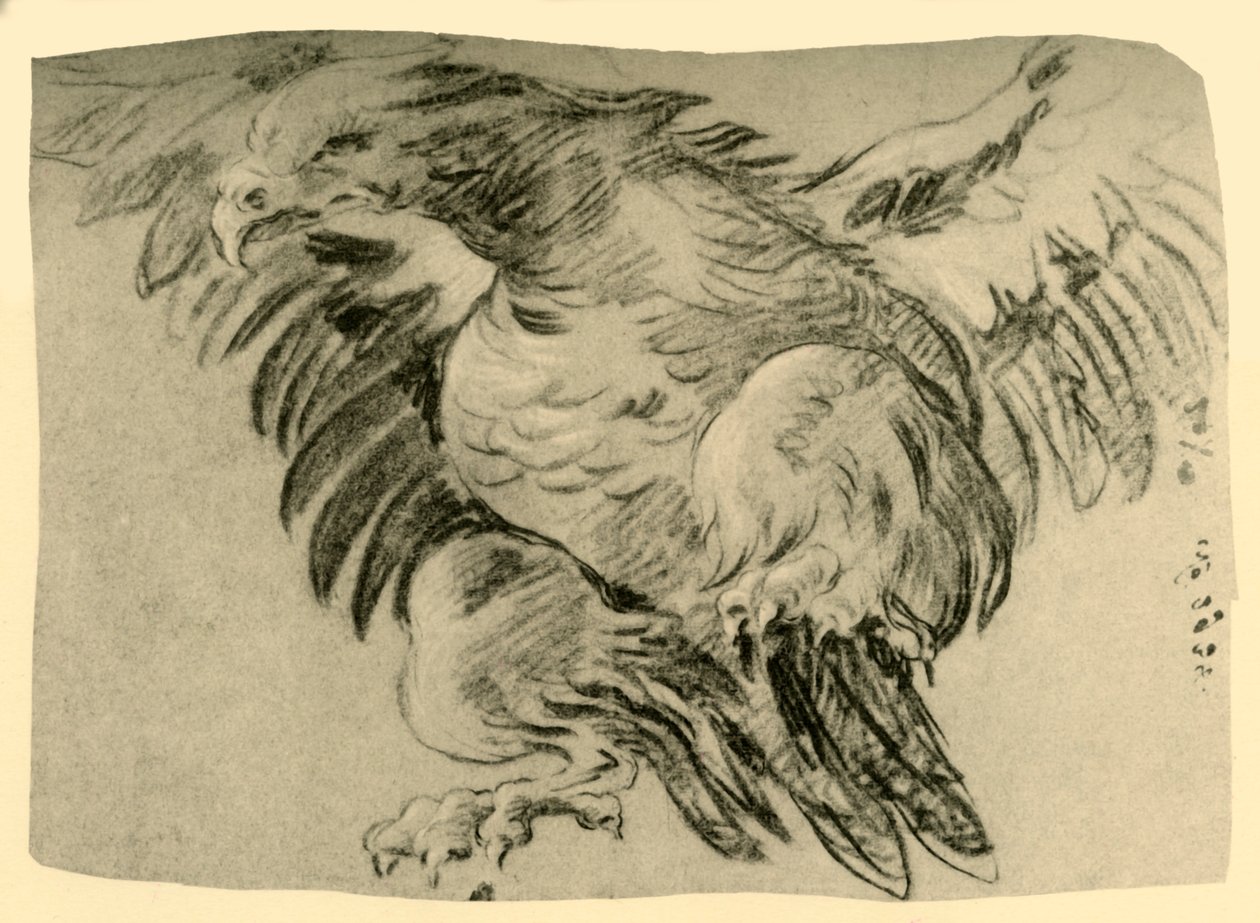 Orzeł, 1751-1752, 1928 autorstwa Giovanni Battista Tiepolo
