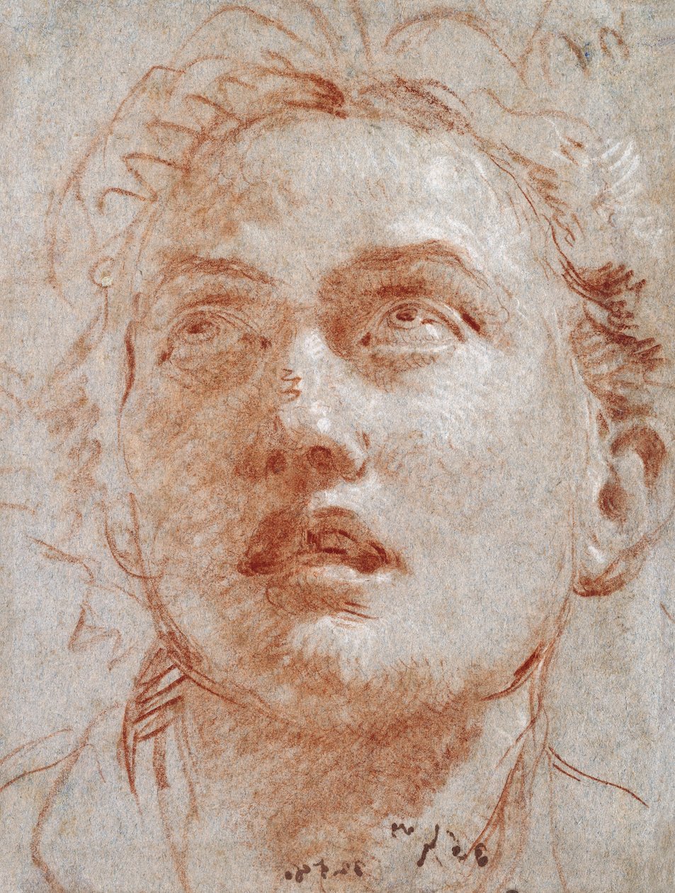Głowa mężczyzny patrzącego w górę, autorstwa Giovanni Battista Tiepolo