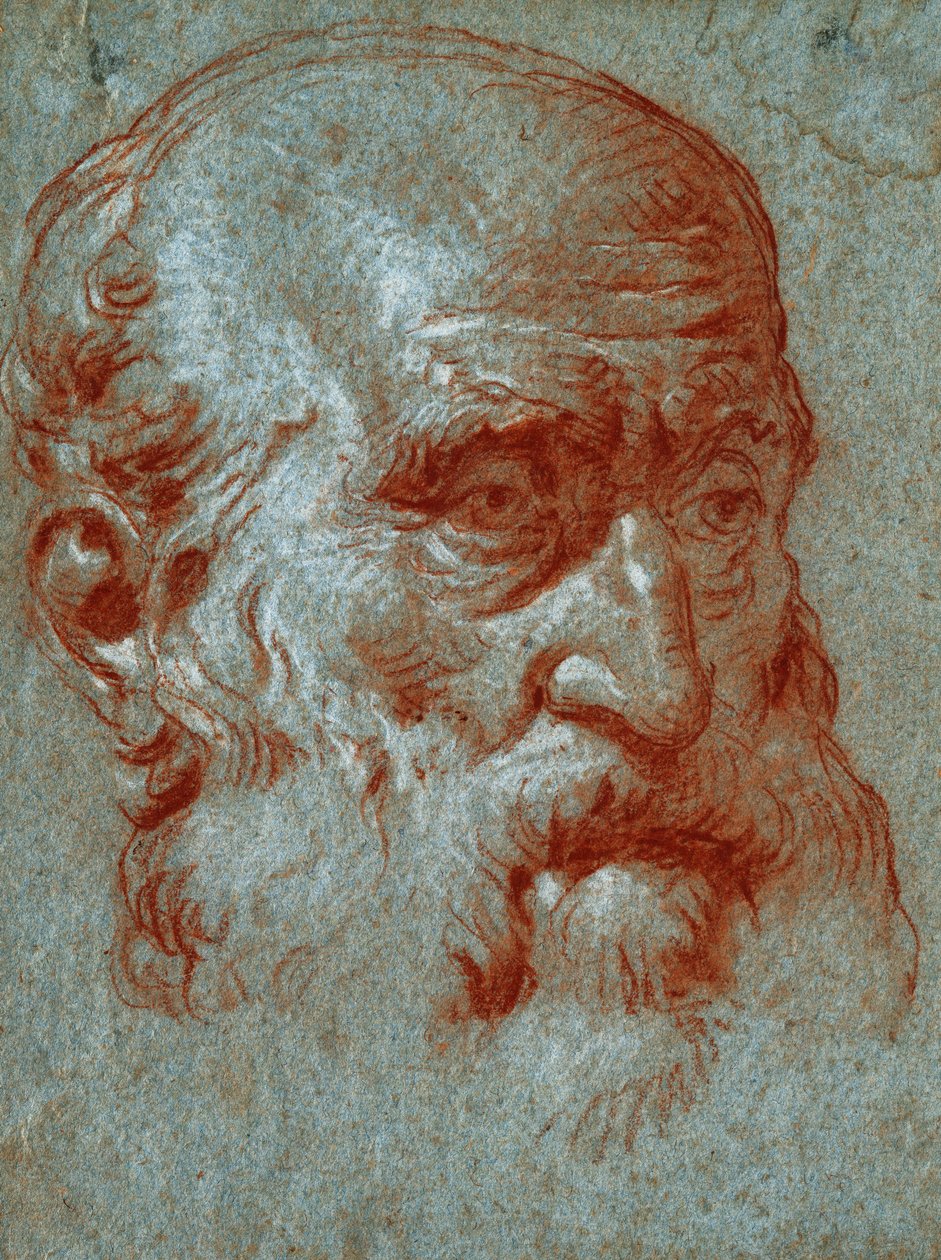 Głowa weneckiego patrycjusza, trzy czwarte twarzy, autorstwa Giovanni Battista Tiepolo