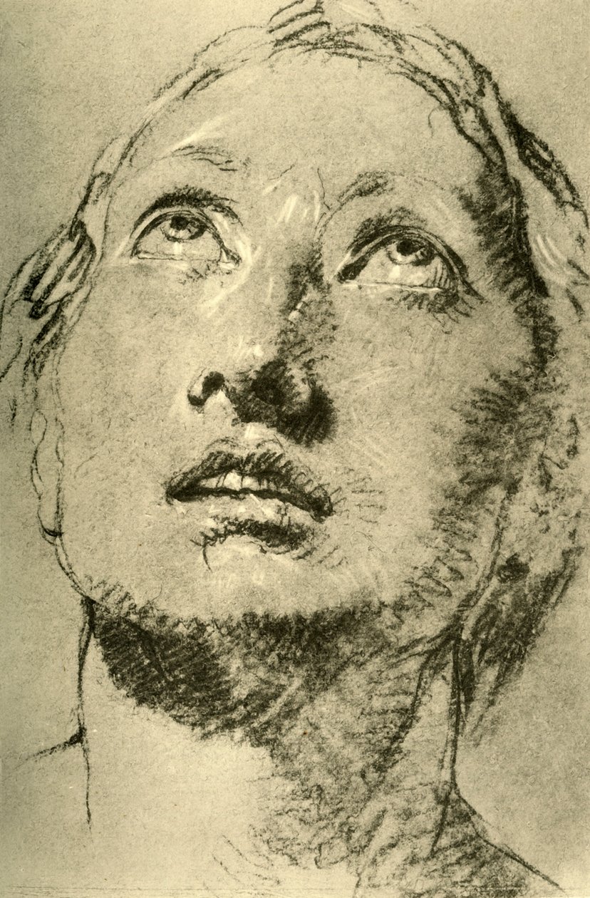 Głowa młodej kobiety, patrząc w górę, c1755, 1928 autorstwa Giovanni Battista Tiepolo