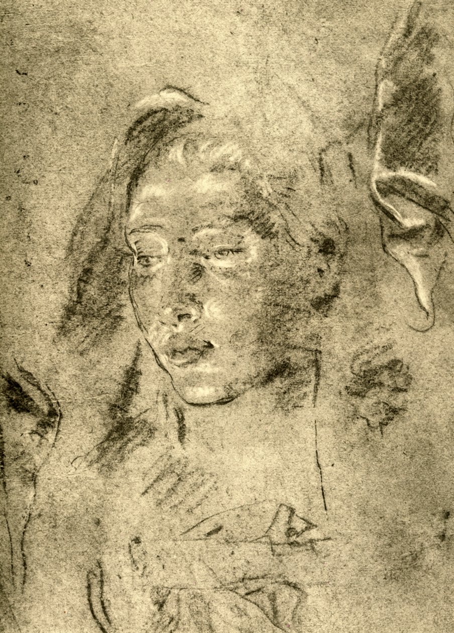 Głowa młodej kobiety, połowa XVIII wieku, 1928 autorstwa Giovanni Battista Tiepolo