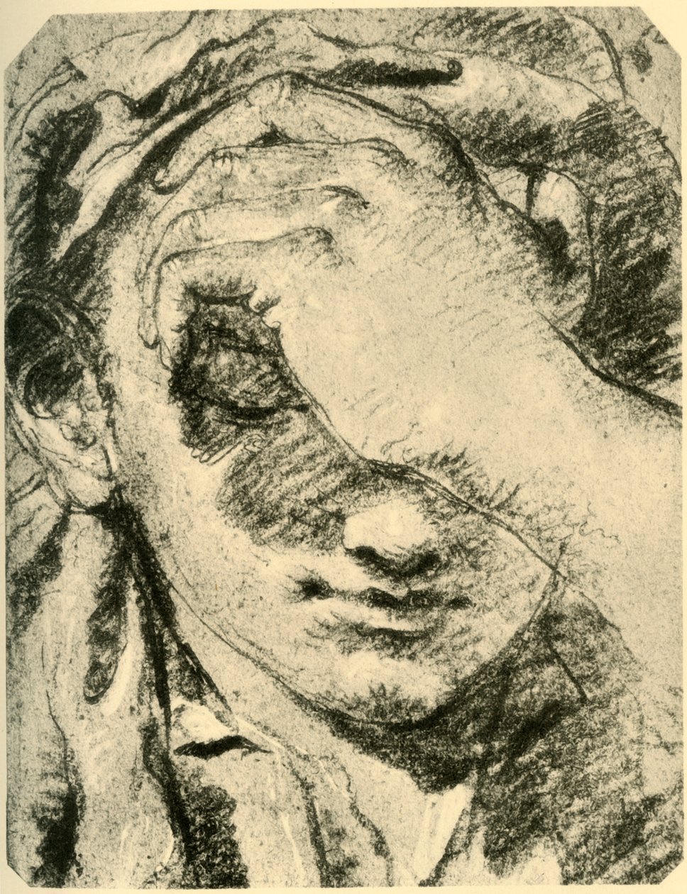 Głowa młodej kobiety, połowa XVIII wieku, 1928 autorstwa Giovanni Battista Tiepolo