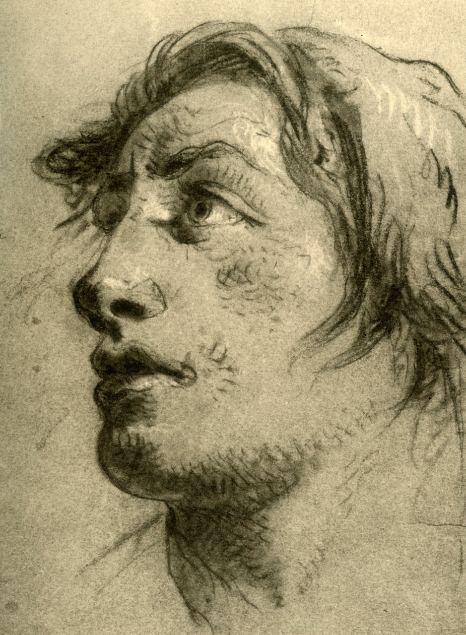 Głowa Młodzieży, prawie z profilu i patrząc w górę, połowa XVIII wieku, 1928 autorstwa Giovanni Battista Tiepolo