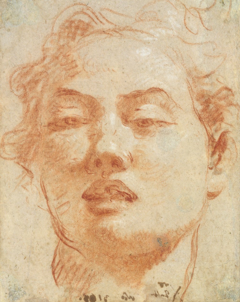 Głowa młodego mężczyzny (czerwono-biała kreda na papierze) autorstwa Giovanni Battista Tiepolo