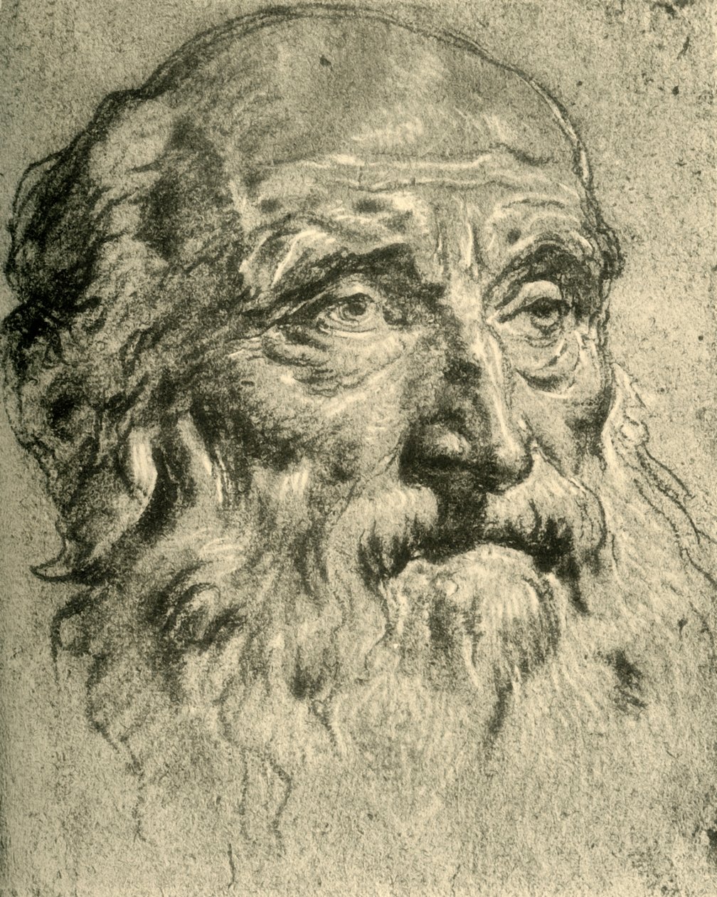 Głowa starego człowieka, połowa XVIII wieku, 1928 autorstwa Giovanni Battista Tiepolo