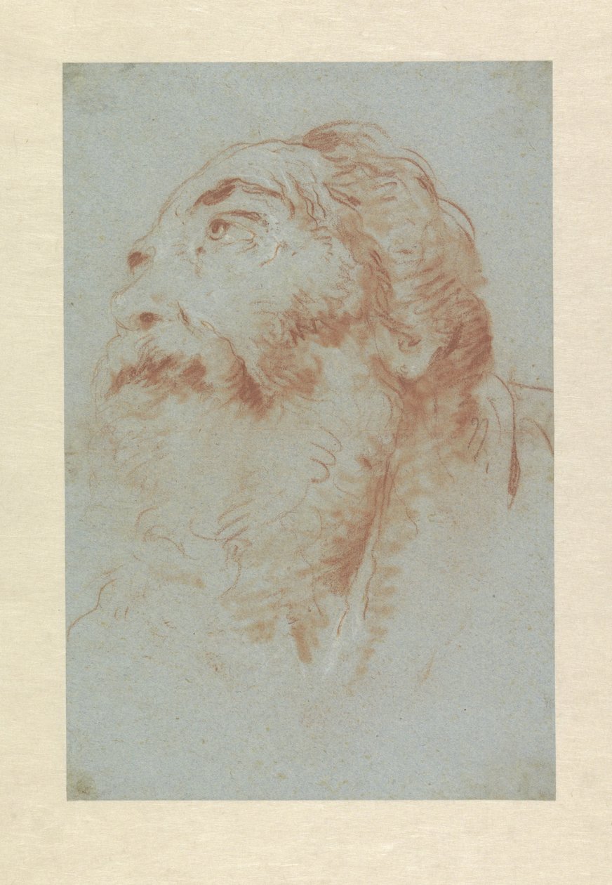 Głowa starego człowieka autorstwa Giovanni Battista Tiepolo