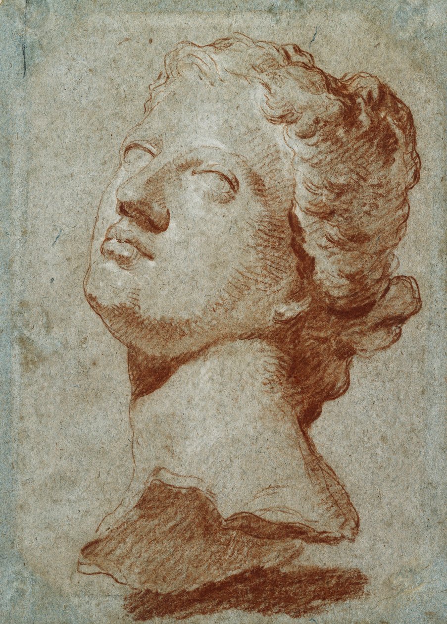 Studium Głowy Wenus, po antyku, autorstwa Giovanni Battista Tiepolo