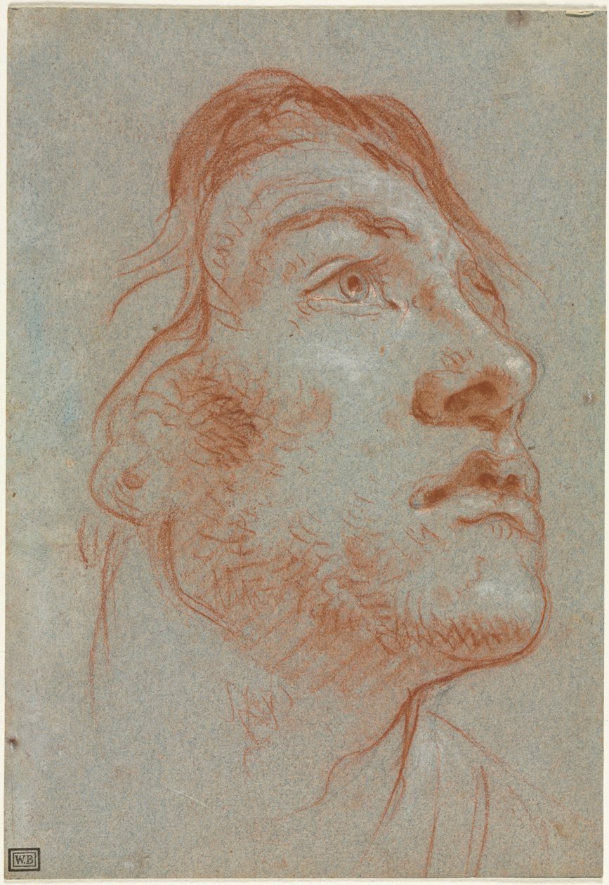 Głowa młodego mężczyzny patrzącego w górę w prawo, przed 1752 rokiem. autorstwa Giovanni Battista Tiepolo