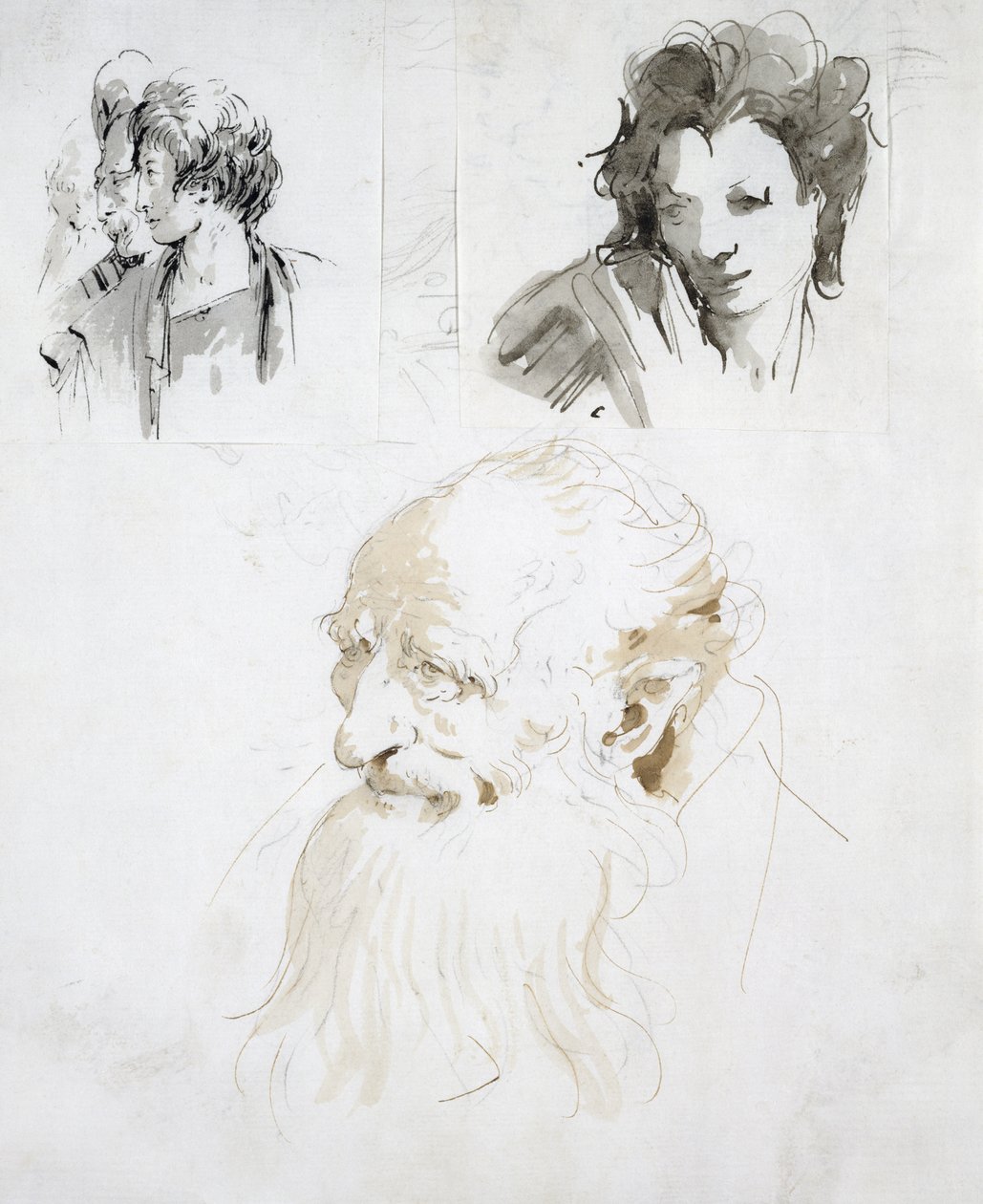 Trzy badania głów (pióro, tusz i pranie na papierze) autorstwa Giovanni Battista Tiepolo