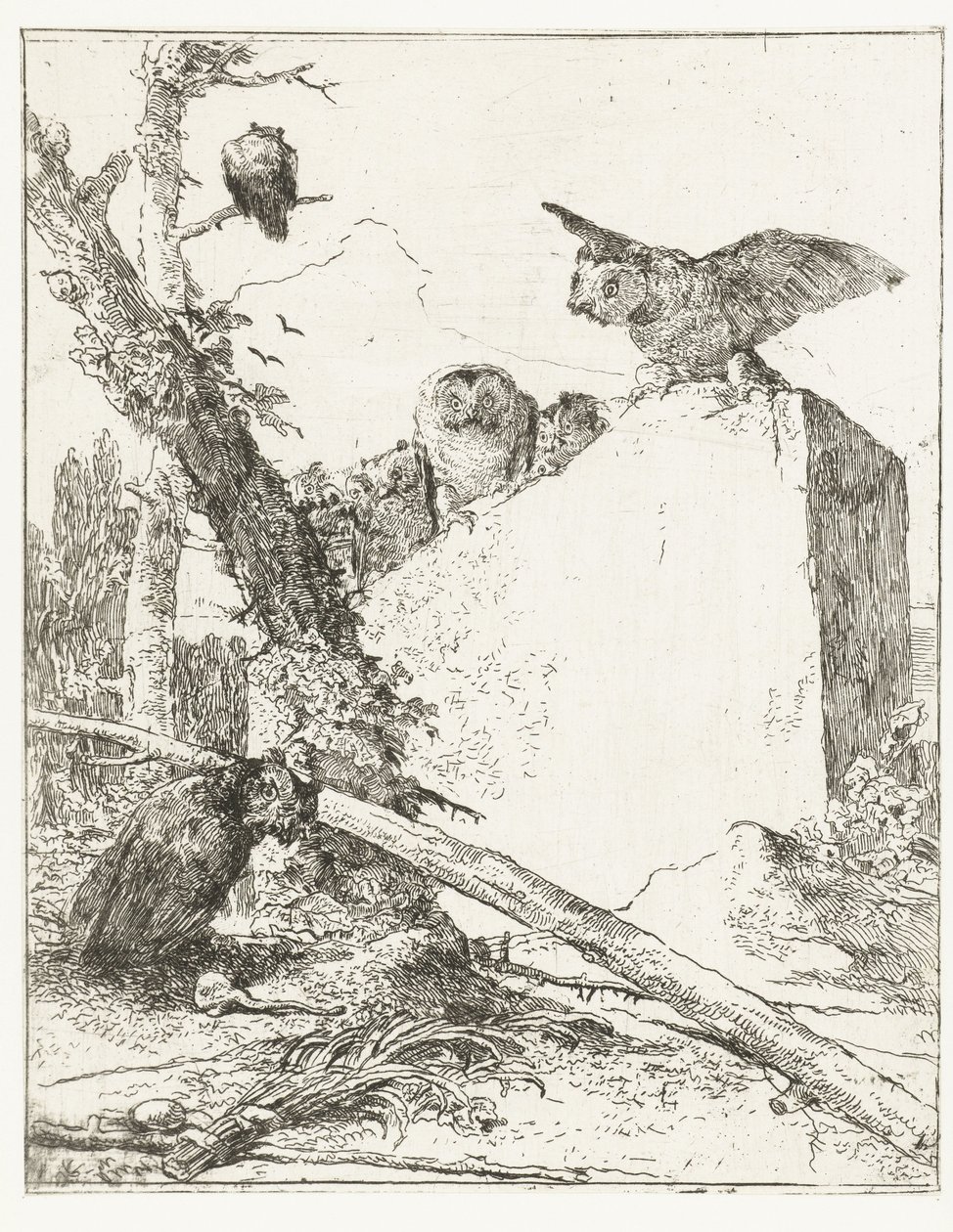 Druk tytułowy do Scherzi di fantasia z sowami przy kamieniu Scherzi di fantasia (tytuł serii) autorstwa Giovanni Battista Tiepolo