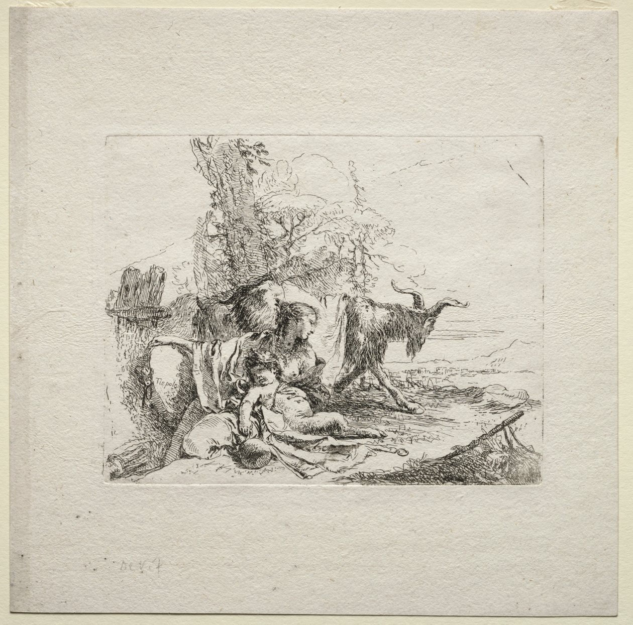 Różne kaprysy: kobieta z tamburynem autorstwa Giovanni Battista Tiepolo