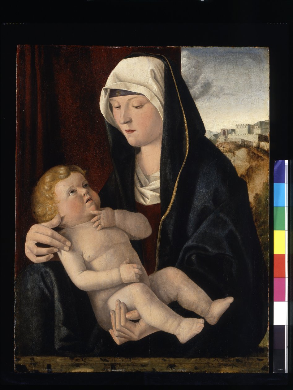 Madonna z Dzieciątkiem (tempera i olej na desce) autorstwa Giovanni Bellini
