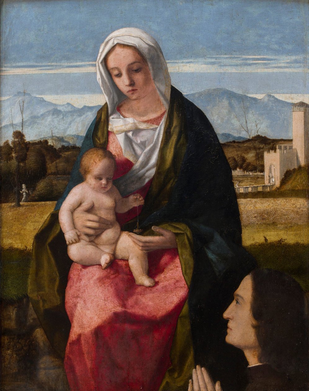 Madonna i Dzieciątko z darczyńcą autorstwa Giovanni Bellini