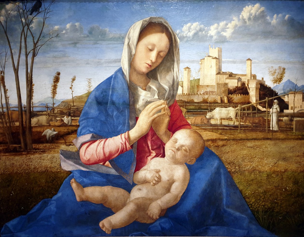 Madonna z łąki autorstwa Giovanni Bellini