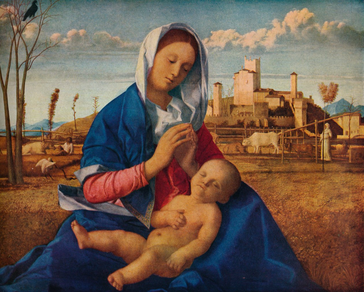 Madonna z łąki, ok. 1500 autorstwa Giovanni Bellini