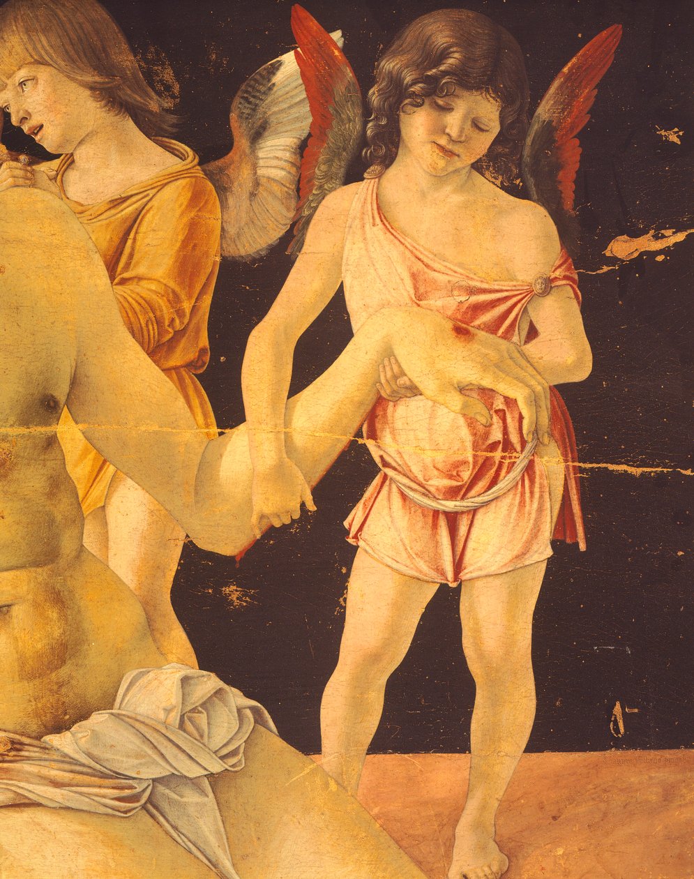 Pieta, czyli Chrystus martwy na aniołach, ok. 1474, autor: Giovanni Bellini (1431-36 - 1516), tempera na desce, 91x131 cm. Szczegół. autorstwa Giovanni Bellini