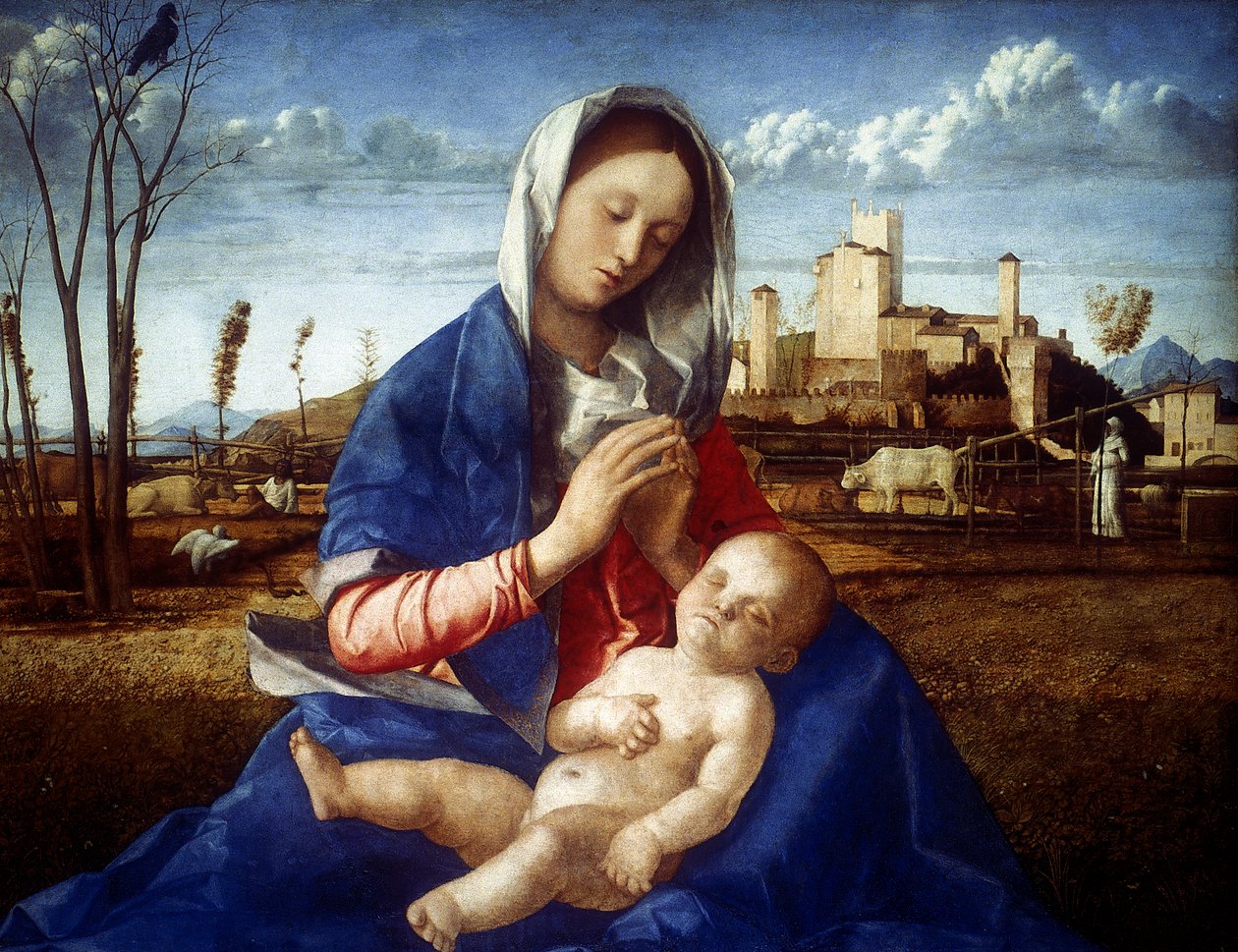 Madonna z łąki, ok. 1500 autorstwa Giovanni Bellini