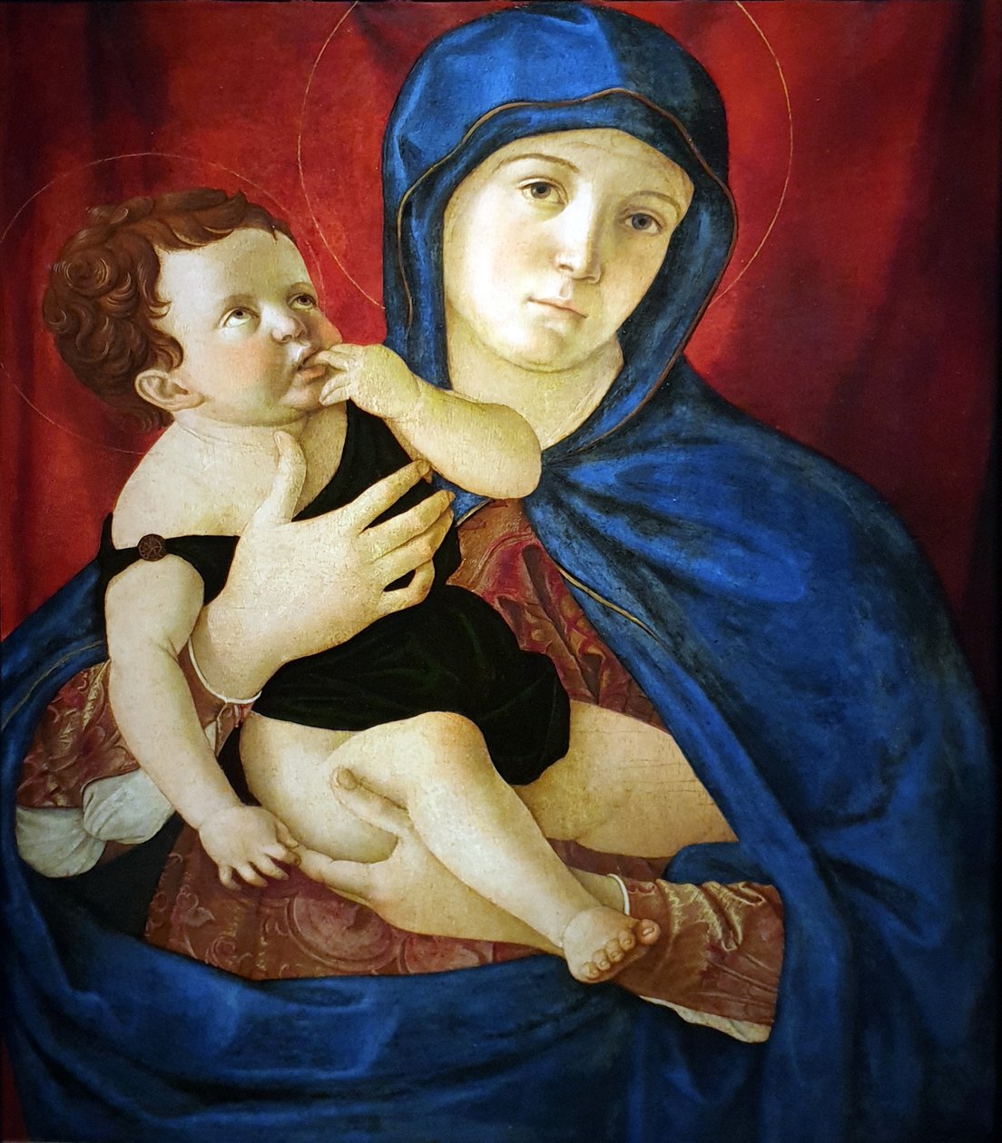 Dziewica z Dzieciątkiem autorstwa Giovanni Bellini