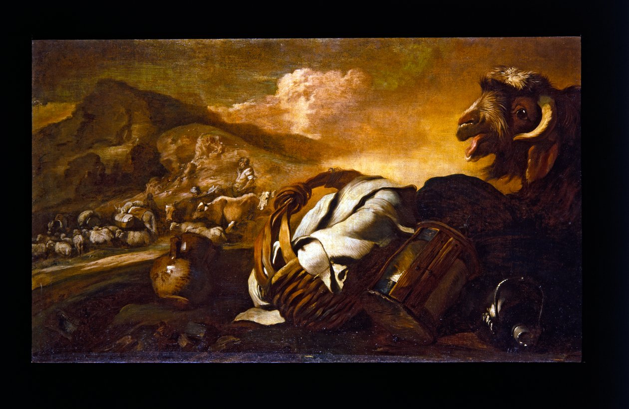 Martwa natura z kozą autorstwa Giovanni Benedetto (1609 64) Castiglione