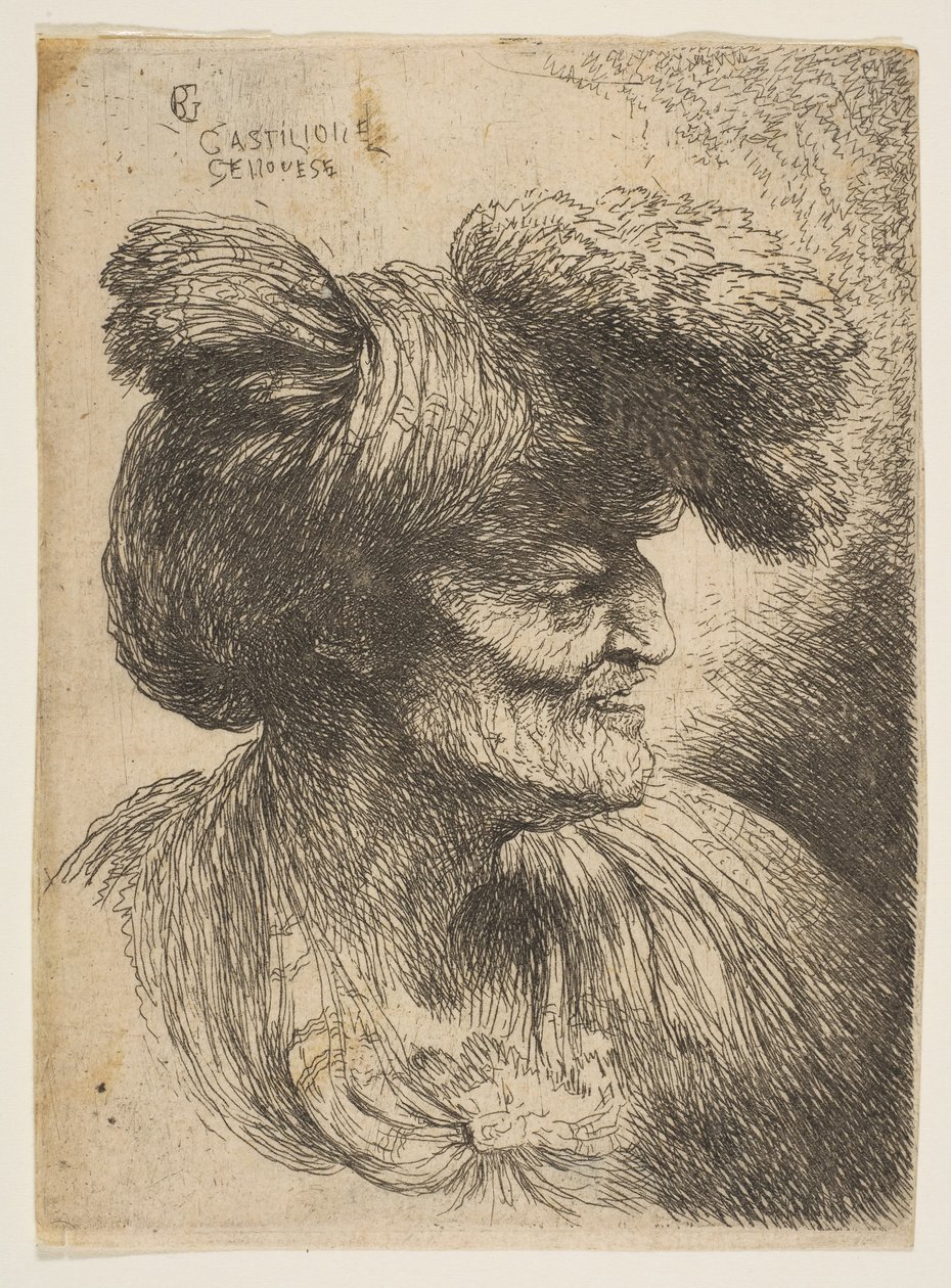 Popiersie starca bez brody z profilu w prawo, z serii Małe głowy ..., ca. 1645-50. autorstwa Giovanni Benedetto Castiglione