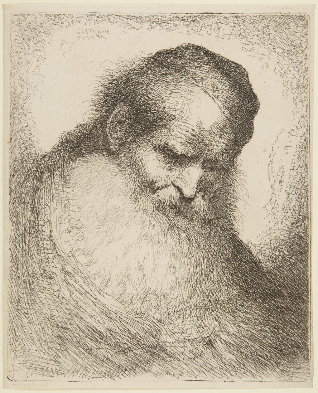 Głowa brodatego starca autorstwa Giovanni Benedetto Castiglione