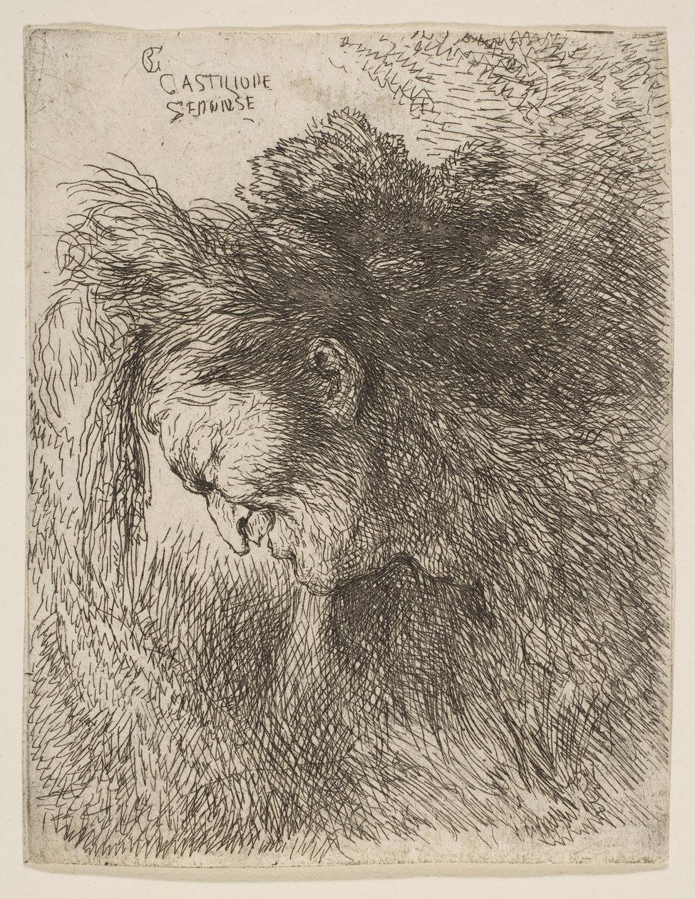 Głowa starca patrzącego w dół, zwrócona w lewo, z cyklu Małych głów w..., ca. 1645-1650. autorstwa Giovanni Benedetto Castiglione