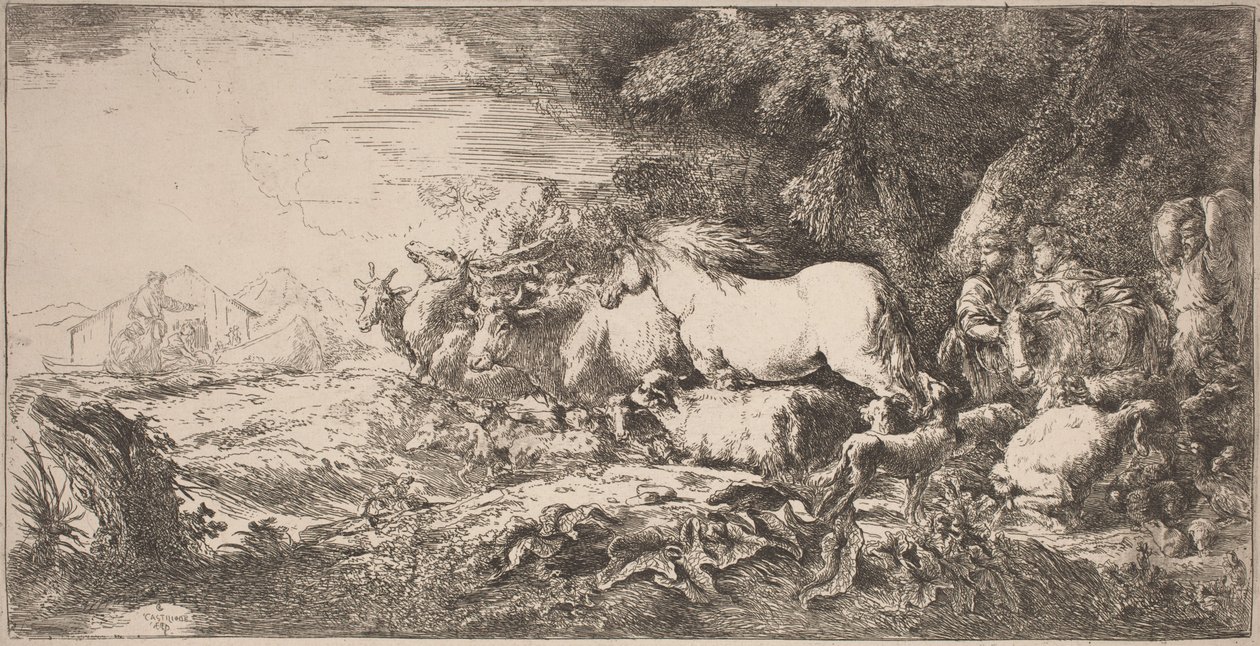 Zwierzęta zmierzające w stronę arki autorstwa Giovanni Benedetto Castiglione