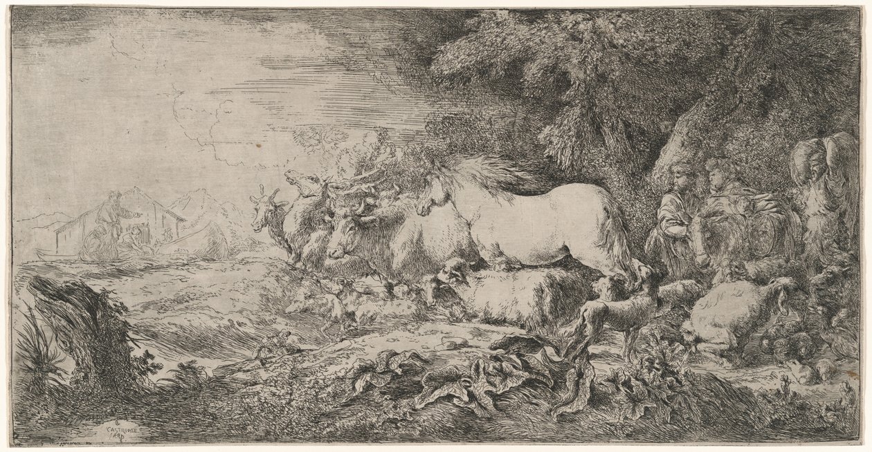 Zwierzęta zmierzające w stronę arki autorstwa Giovanni Benedetto Castiglione