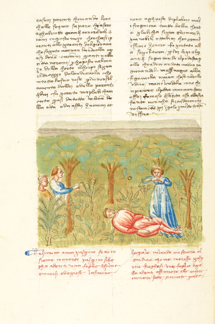 Dekameron, Roślina mędrca - Śmierć Paskwina , Czwarty dzień, opowiadanie 7. autorstwa Giovanni Boccaccio