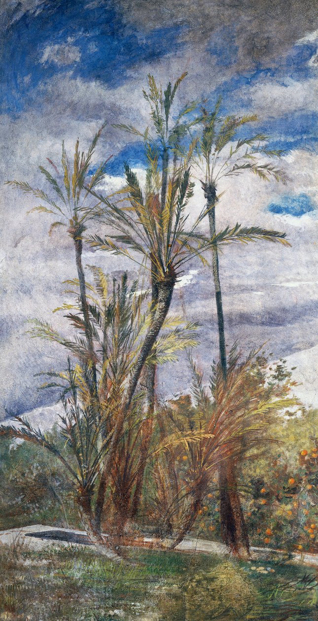 Palmy i drzewa pomarańczowe autorstwa Giovanni Boldini