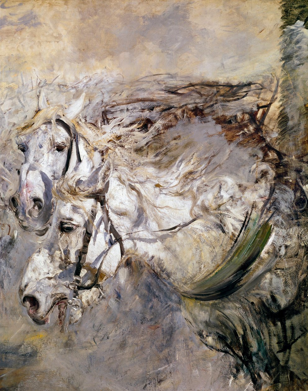 Dwa białe konie Obraz Giovanniego Boldini (1842-1931) 1874 wym.153x122 cm Pistoia, kolekcja Boldini autorstwa Giovanni Boldini