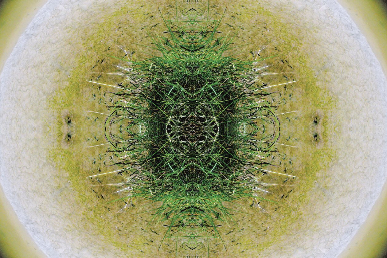 Unnatural 6.1 (zdjęcie zmanipulowane cyfrowo) autorstwa Giovanni Cafagna